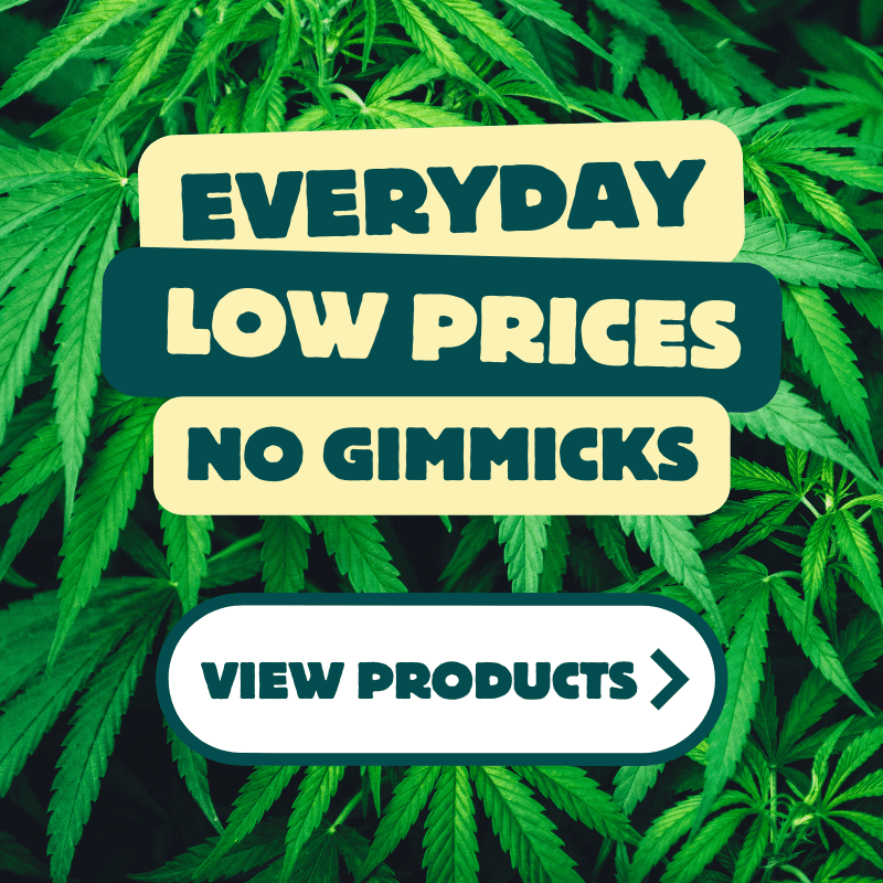Earn cashback on every purchase. The more you shop, the more you save!